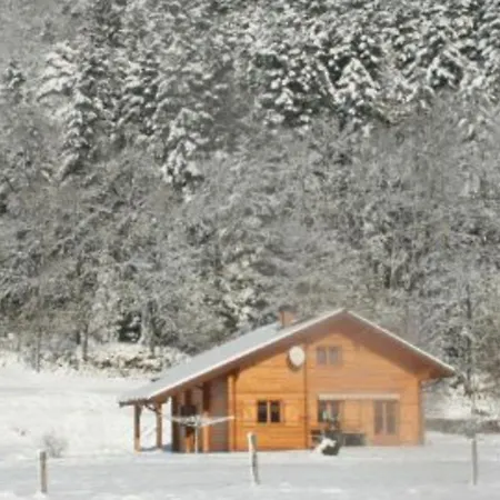 Chaleureux Avec Terrasse, Proche Forêt Et Sentier, à 15 Km Des Stations De De Gérardmer - Fr-1-589-247 *